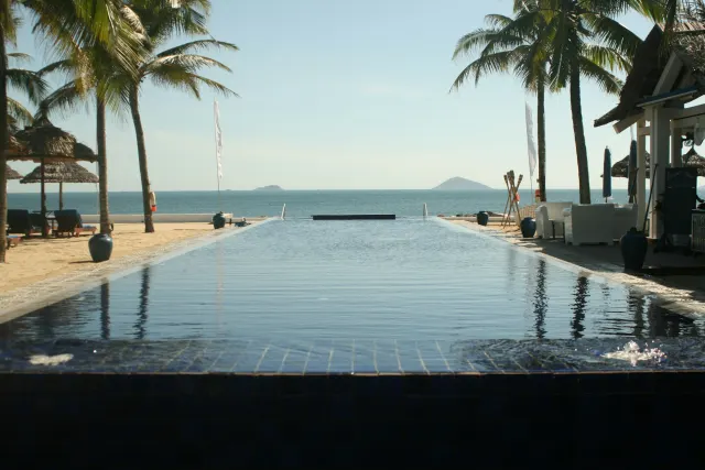 Infinity pool framed by coconut palms overlooking the sea